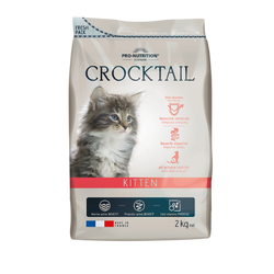 Croquettes pour chaton